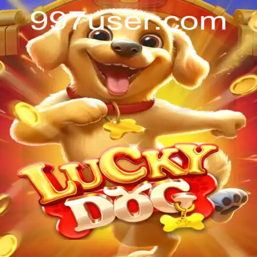 Conheça o Fascinante Jogo LuckyDog: Descrição e Regras do 997.GAME